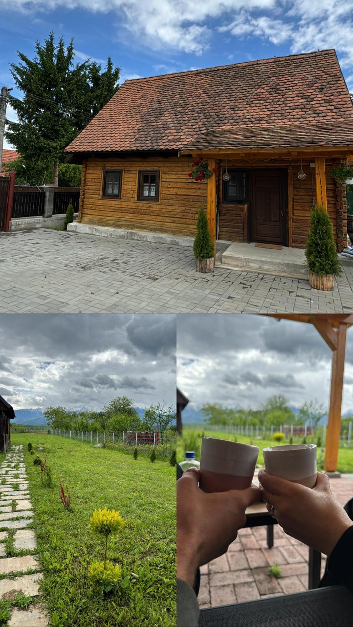 Villa Casuta Cu Tihna Porumbacu de Sus Exterior foto