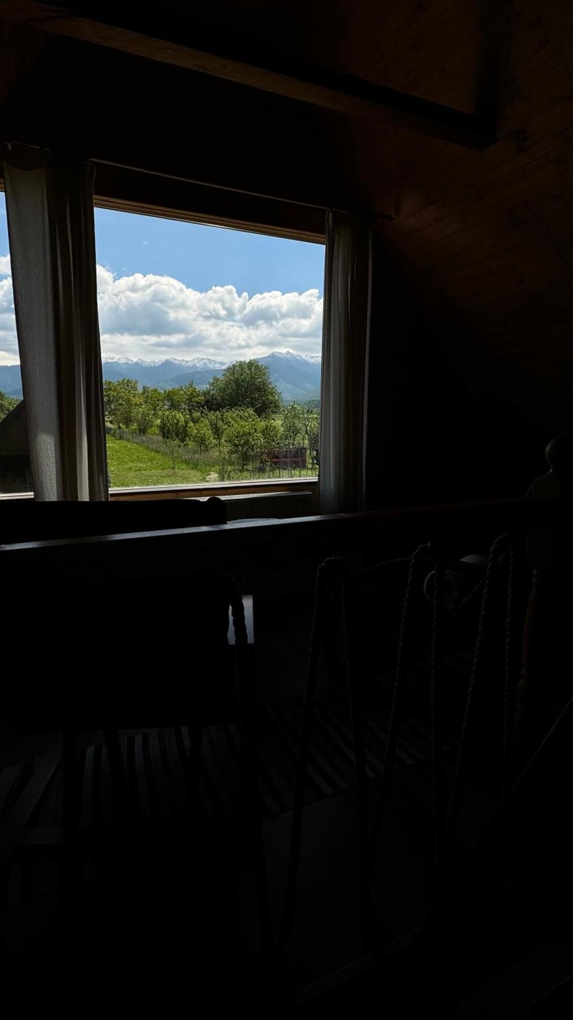 Villa Casuta Cu Tihna Porumbacu de Sus Exterior foto